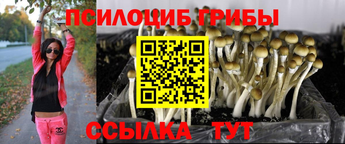 Белорецк  Псилоцибиновые грибы Psilocybe  купить закладку  Вход с VPN 