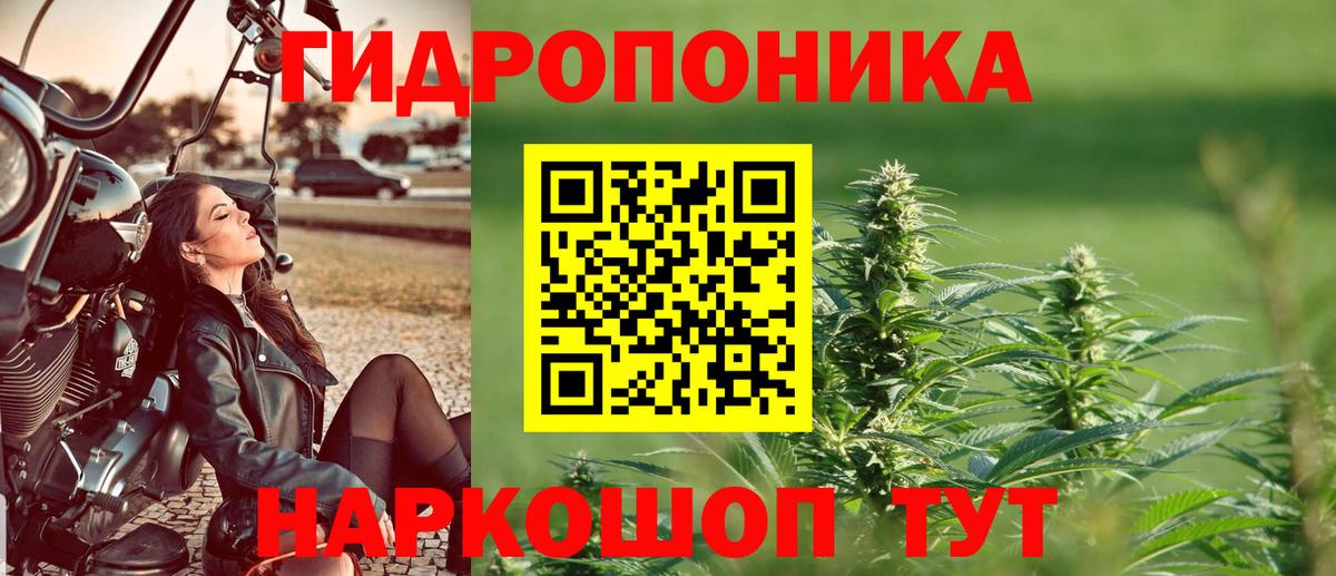 Бошки марихуана гибрид  Вход с VPN  Белорецк  Бошки Шишки MAZAR  Марихуана семена 